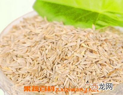 白生菜籽的功效与作用