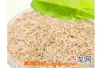 白生菜籽的功效与作用