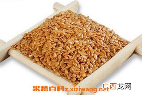 啊麻籽的功效与作用是什么