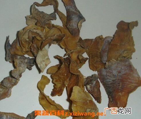 中药巴戟肉的功效作用及食用方法