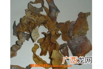 中药巴戟肉的功效作用及食用方法