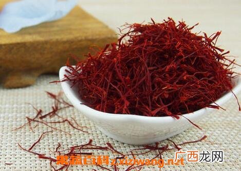 藏红花图片 藏红花的功效与作用