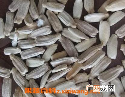 菜葫芦籽的功效与作用