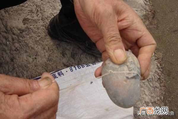 新手必看不挂底爆炸钩操作指南 爆炸钩怎么上饵图解防挂底