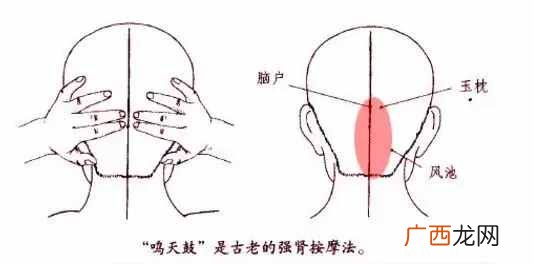 详解人体五官及对应的作用 人的五官是哪五官图片