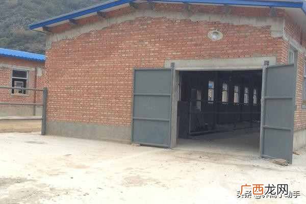 4种最有效的驱狼方法 养鸡场怎么赶走黄鼠狼妙招