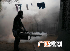 什么是寨卡病毒对宝宝有什么影响