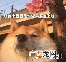 什么卫生纸最好最安全最健康,家用卫生纸哪个牌子好