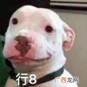什么卫生纸最好最安全最健康,家用卫生纸哪个牌子好