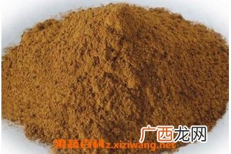 银杏提取物的功效与作用