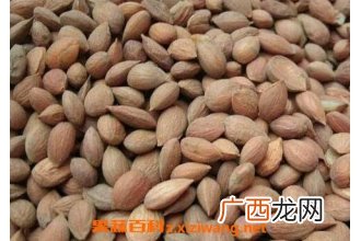 郁李仁的功效与作用及食用方法