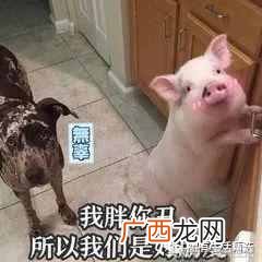 观文秒懂基友一词含义 什么叫基友关系啊