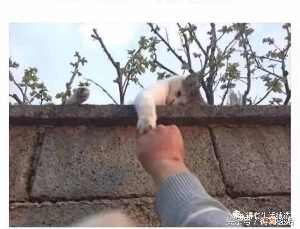 观文秒懂基友一词含义 什么叫基友关系啊