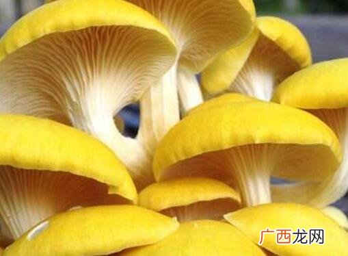 适合菜市场的独门生意,1万做什么生意挣钱