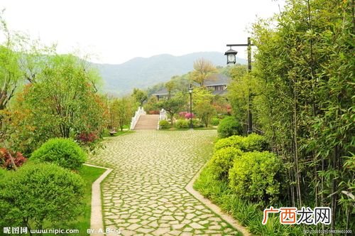 重庆市风景园林科学研究院 重庆市园林设计园