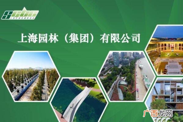 上海 融绿园林工程有限公司 上海市园林集团工程有限公司地址