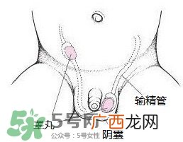 宝宝氙气怎么办宝宝氙气护理方法