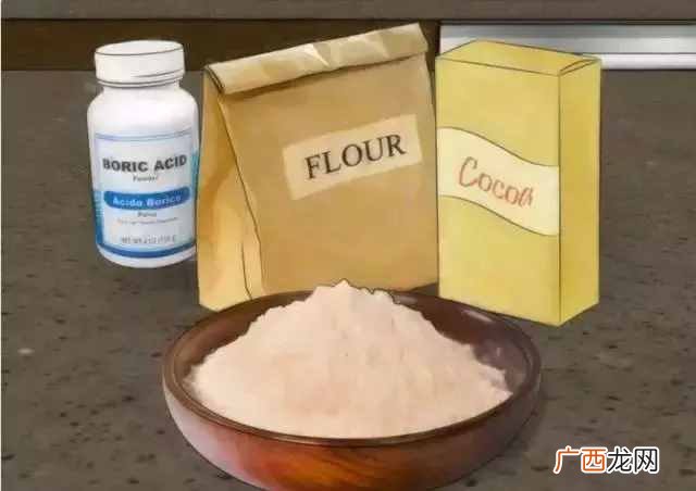 安全可靠的6种灭蟑螂法 家庭如何灭蟑螂最有效的方法