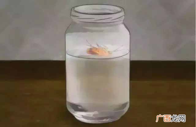安全可靠的6种灭蟑螂法 家庭如何灭蟑螂最有效的方法
