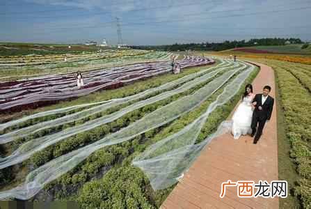 简介世界最长婚纱图 世界上最长的婚纱有多长