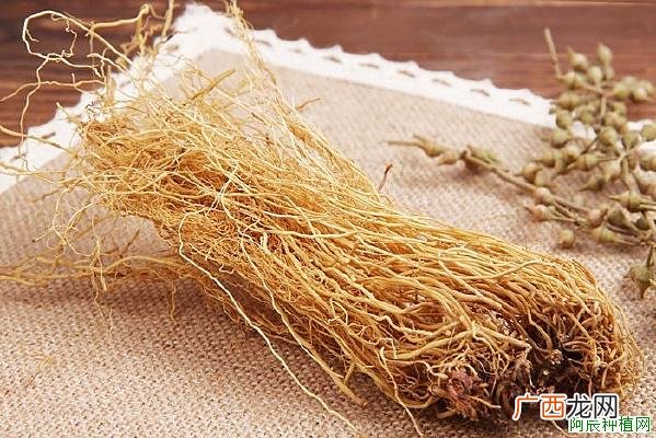 金银花为什么不开花？要怎么解决？
