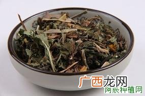 地黄疫病的防治措施