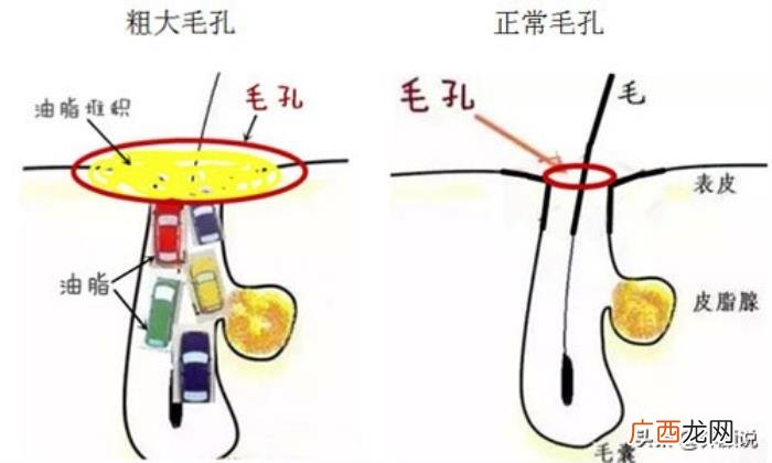 我终于知道洗脸最佳水温了 用热水洗脸好吗