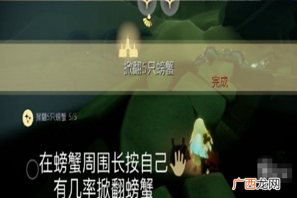 光遇11月11日每日任务攻略