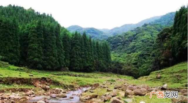 公园地理位置及游玩攻略 茂名森林公园在哪个地方