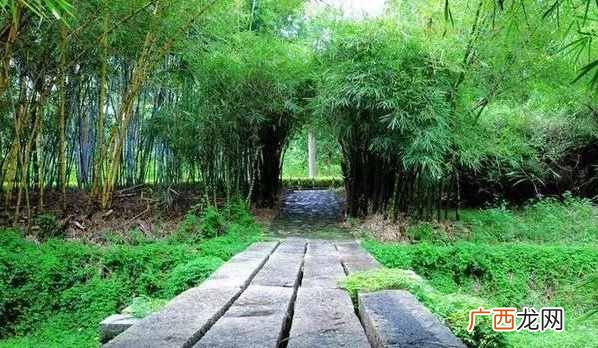 公园地理位置及游玩攻略 茂名森林公园在哪个地方