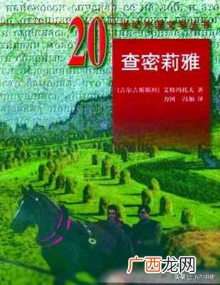 中外名著有哪些书及作者(必看的25本名著书籍)