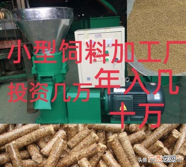 在农村开什么厂,在农村办什么小型加工厂可靠
