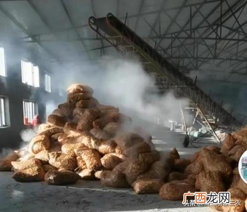 在农村开什么厂,在农村办什么小型加工厂可靠