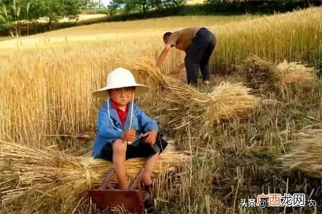 在农村开什么厂,在农村办什么小型加工厂可靠