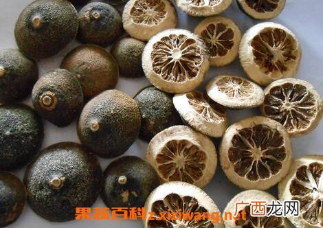 积壳的功效与作用及食用方法