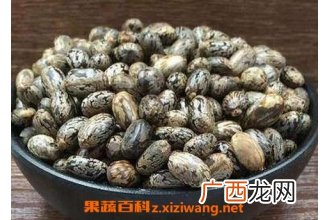 比麻籽的功效与作用 比麻籽的药用价值