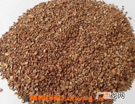 黑桃壳的功效与作用 黑桃壳的使用禁忌