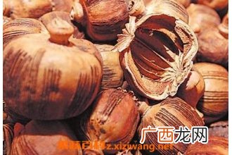 枫粟壳的功效与作用