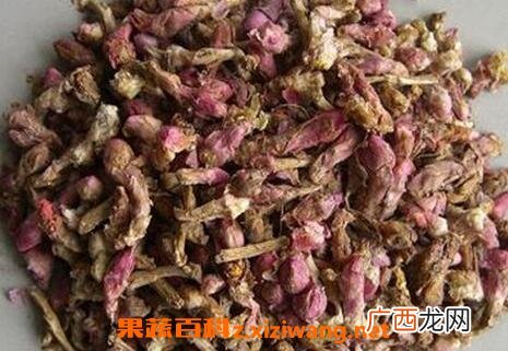 灸款冬花的功效与作用