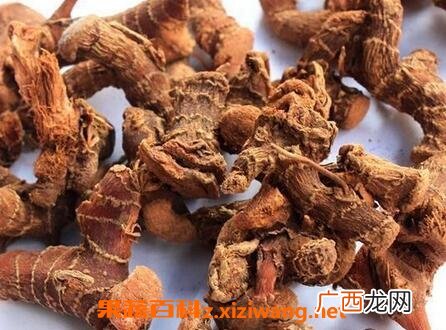 中药良姜的功效与作用
