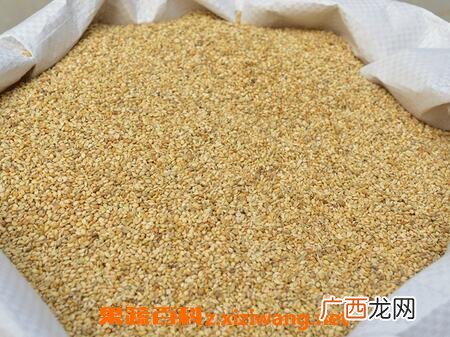 谷壳的功效和作用 谷壳的药用价值