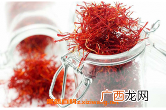 藏红花茶的功效与禁忌