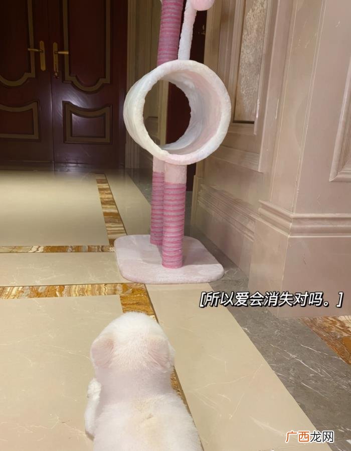 迪丽热巴和鹿晗为什么分手，鹿晗被曝出轨热巴和女友分手