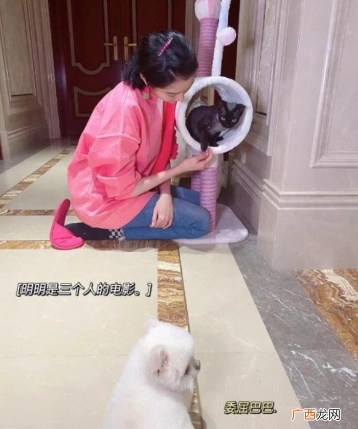 迪丽热巴和鹿晗为什么分手，鹿晗被曝出轨热巴和女友分手