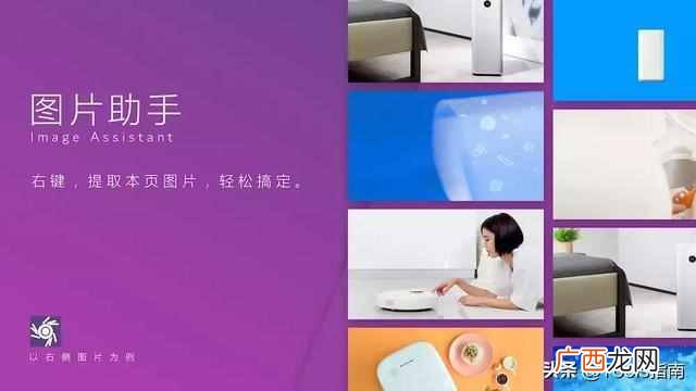 怎么提取网页中的图片（教你如何提取网页中的