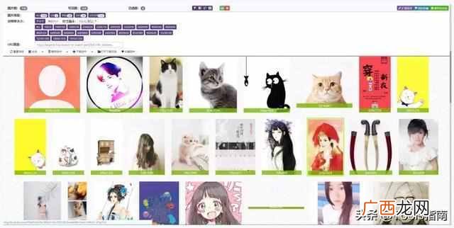 怎么提取网页中的图片（教你如何提取网页中的
