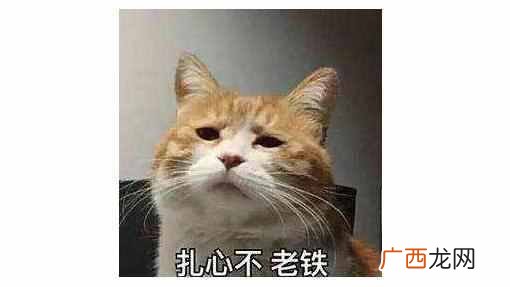 怎么同时接收老婆微信不被发现(偷偷监控老婆的