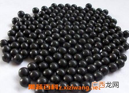 二至丸的组成配方与功效用法