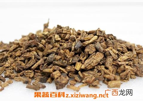 百部的功效与作用 百部的药用价值