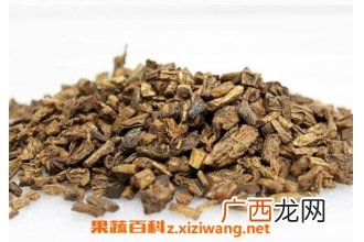 百部的功效与作用 百部的药用价值